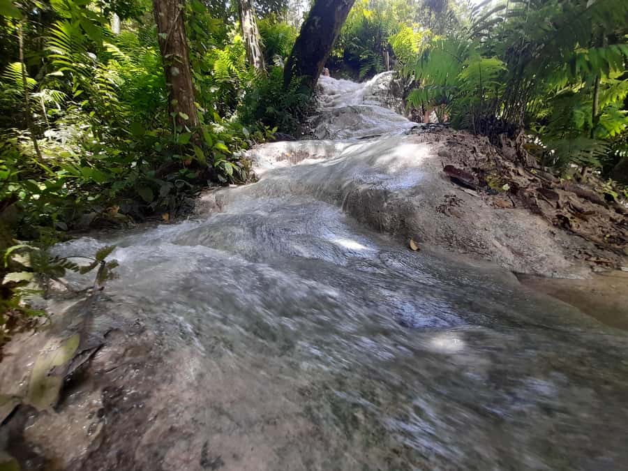 Chiang Mai: 4-Hour Sticky Waterfall Private Tour - Photo Stops, Break Time, and What to Do Between Climbs
