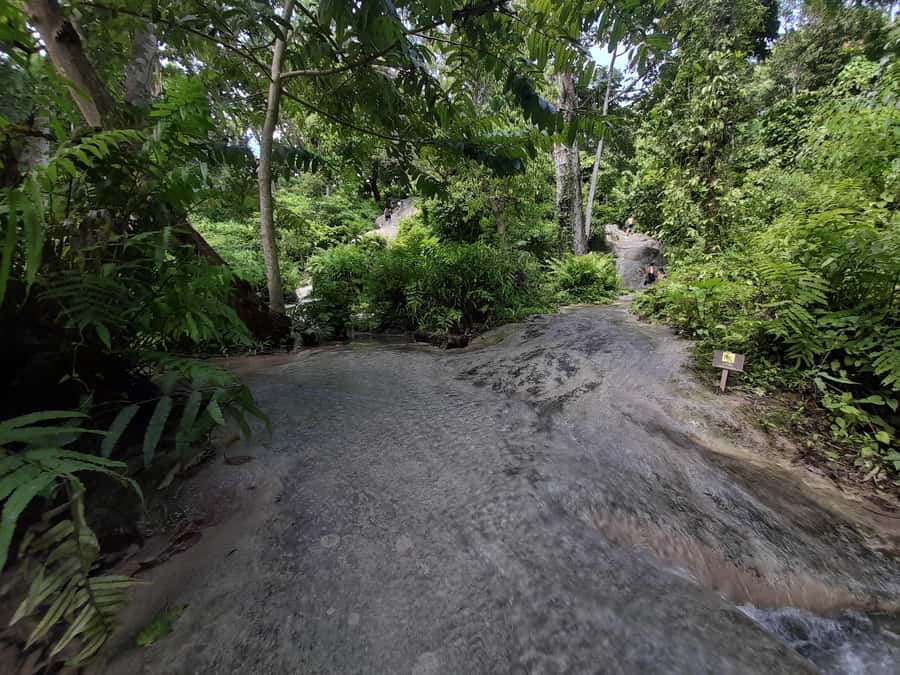 Chiang Mai: 4-Hour Sticky Waterfall Private Tour - The Value of This Private, Self-Guided Format in Chiang Mai