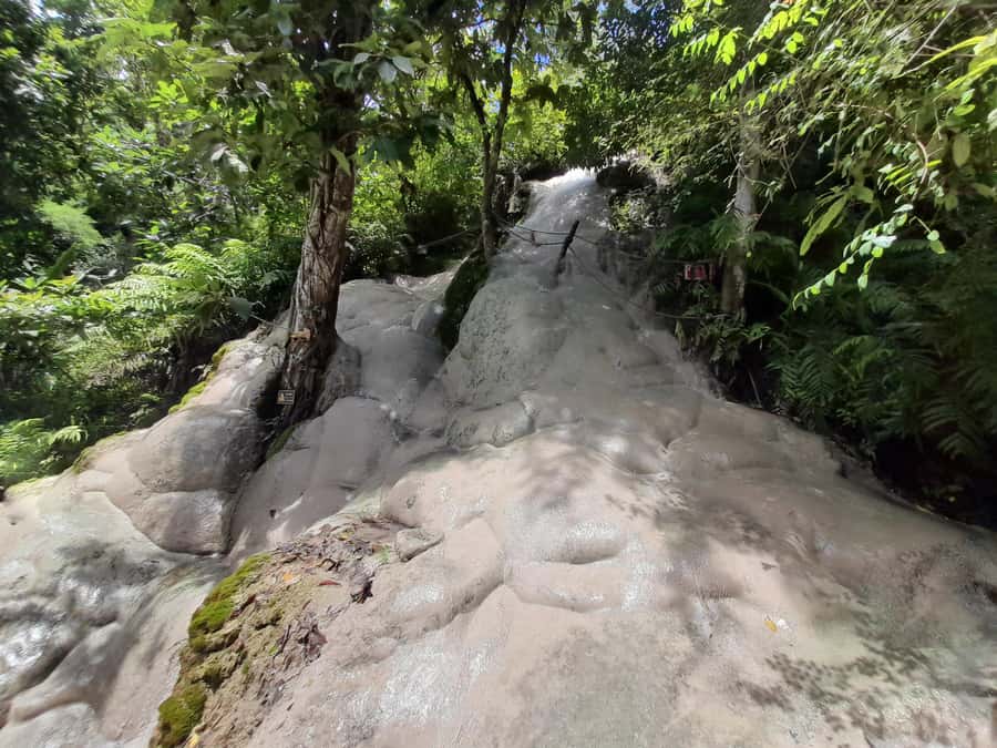 Chiang Mai: 4-Hour Sticky Waterfall Private Tour - Price, Schedule, and What You Actually Get in 4 Hours