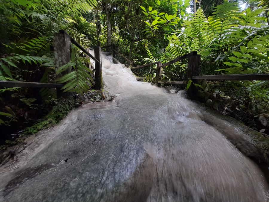 Chiang Mai: 4-Hour Sticky Waterfall Private Tour - What to Bring for Sticky Limestone, Heat, and Wet Shoes