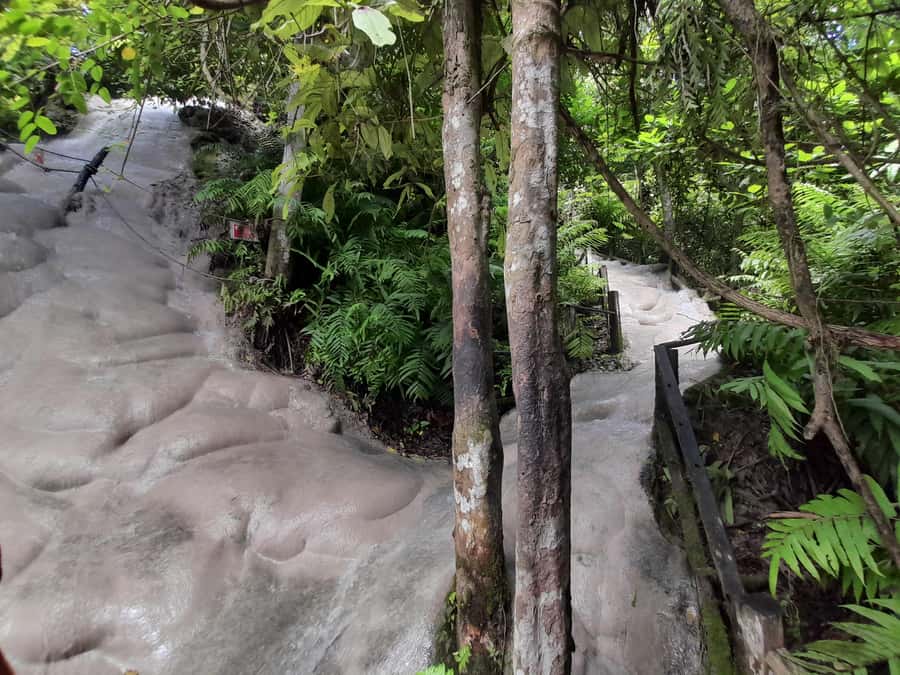 Chiang Mai: 4-Hour Sticky Waterfall Private Tour - Who Should Book This Sticky Waterfall Tour
