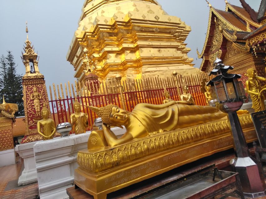 Chiang Mai: 7-Hour Doi Suthep National Park Summit Hiking - Price and value: $60 for a full guided mountain day