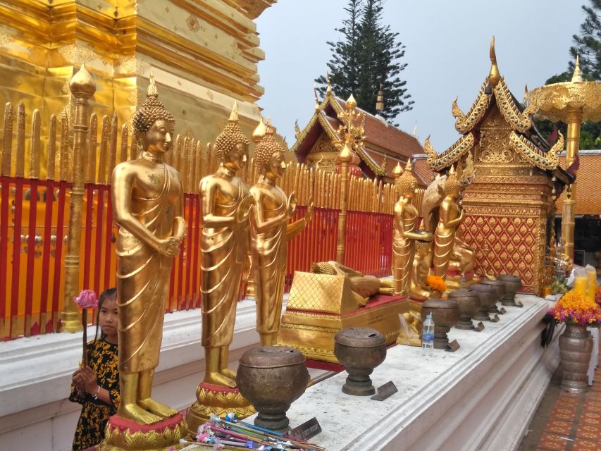 Chiang Mai: 7-Hour Doi Suthep National Park Summit Hiking - Lunch timing and what to do about it