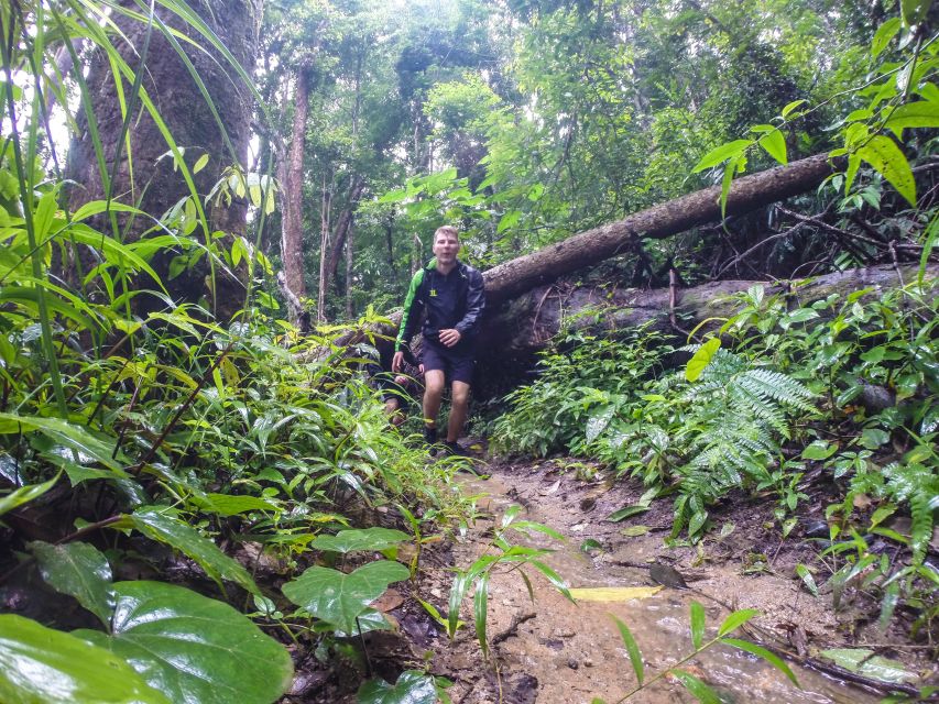 Chiang Mai: 7-Hour Doi Suthep National Park Summit Hiking - Hydration strategy: water, hydration packs, and the truck meet-ups