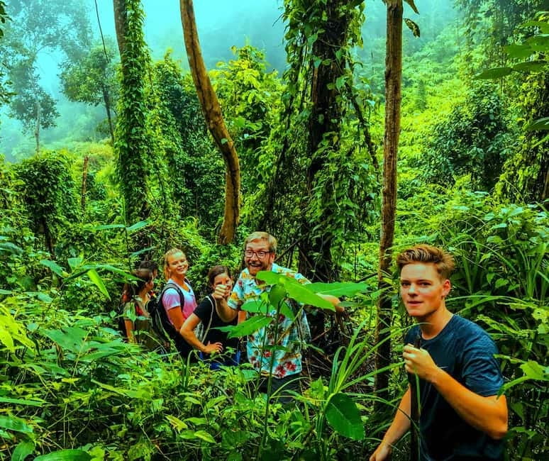 Chiang Mai: 7-Hour Doi Suthep National Park Summit Hiking - Returning downhill with postcard views