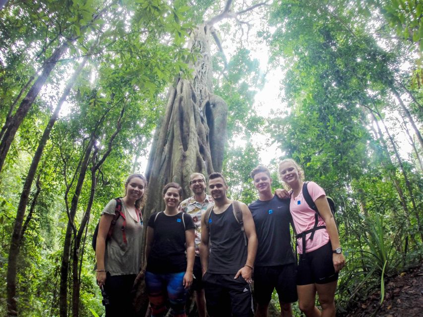 Chiang Mai: 7-Hour Doi Suthep National Park Summit Hiking - Wat Pha Lat monk trail: the first real effort