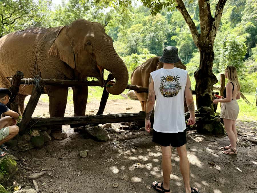 Chiang Mai Adventure: Trekking, Tubing & Waterfall Slide - How to Pack Like You’re Doing This for Real
