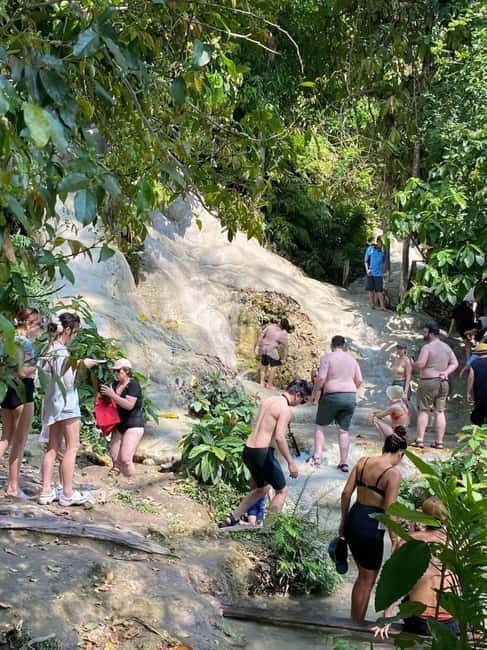Chiang Mai: Afternoon Bua Tong Sticky Waterfall by Red Taxi - Key things to know before you go
