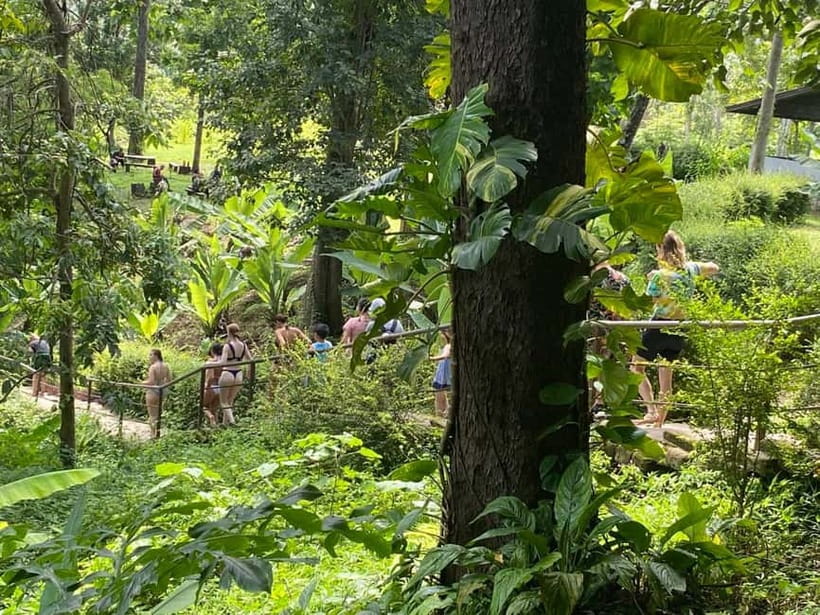 Chiang Mai: Afternoon Bua Tong Sticky Waterfall by Red Taxi - What to pack for a wet, sticky rock climb