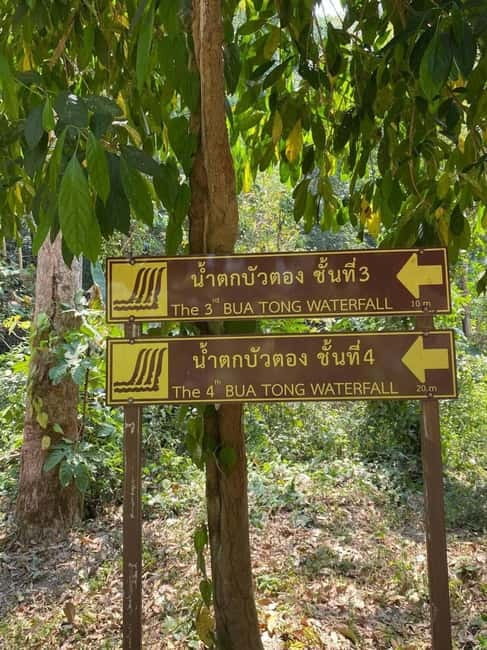 Chiang Mai: Afternoon Bua Tong Sticky Waterfall by Red Taxi - Rules at Bua Tong: what is not allowed