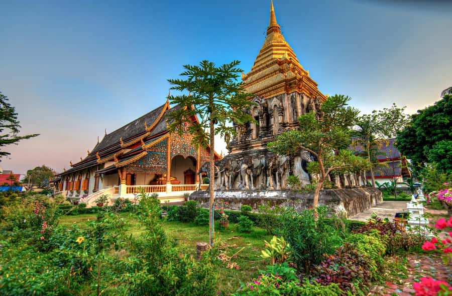 Chiang Mai: Ancient Temples Guided Spanish Tour - What the very positive guide feedback gets right