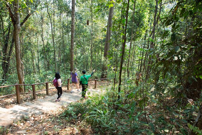 Chiang Mai and Surrounding Area: Private Customizable Tour - Stop 4: Twin Royal Stupas for royal views above the trees