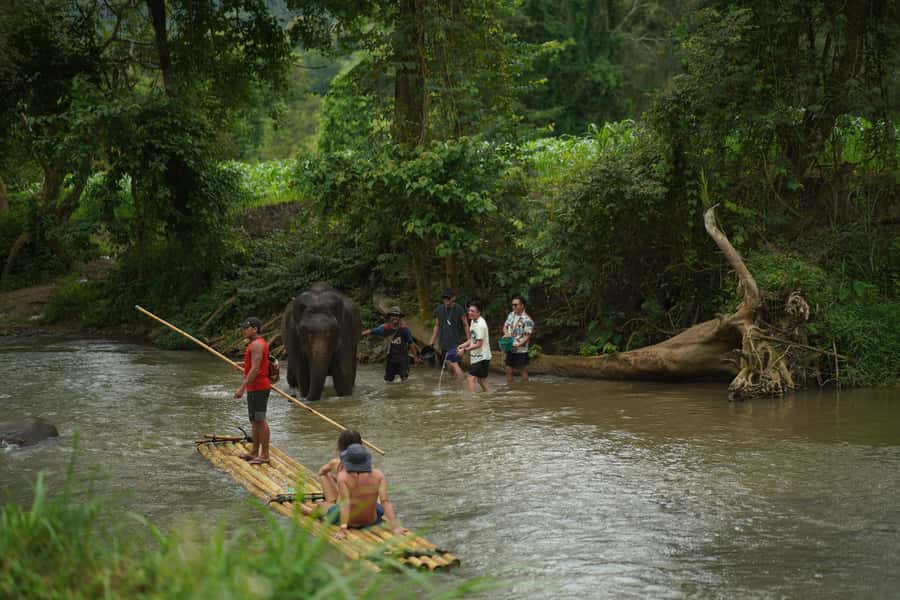 Chiang Mai: ATV Adventure 2-Hrs,Feeding,Rafting & Lunch Trip - What’s included for $84, and what that means in real value
