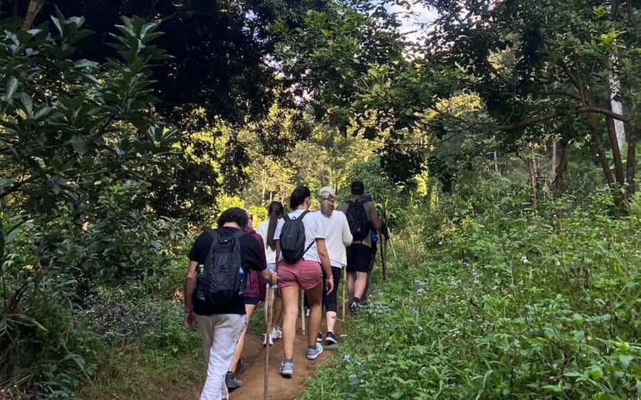 Chiang Mai: ATV Adventure, Jungle Hike & White Water Rafting - ATV Adventure on a 200cc Machine: The Most Exciting Hour