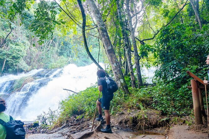 Chiang Mai ATV Tour, Doi Inthanon Trekking, and Elephant Watching - Key Highlights You Will Actually Care About