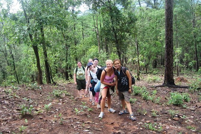 Chiang Mai ATV Tour, Doi Inthanon Trekking, and Elephant Watching - Should You Book This Chiang Mai Adventure Day?