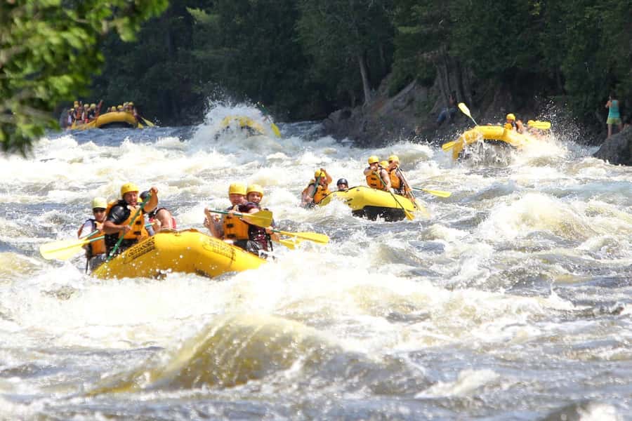Chiang Mai ATV & White Water Rafting & Trekking to Waterfall - The Jungle Hike to the Waterfall: Shoes and Swimming Plans