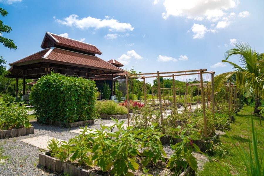 Chiang Mai: Authentic Cooking Class with Market & Farm Visit - Key things I’d bookmark about this Chiang Mai class