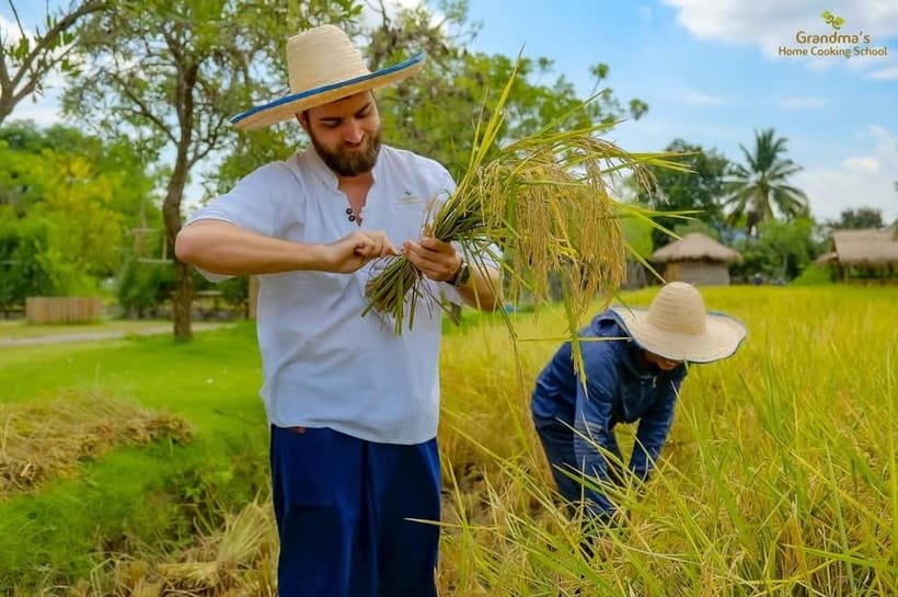 Chiang Mai: Authentic Cooking Class with Market & Farm Visit - What you cook in Chiang Mai: curries, noodles, soups, and curry paste