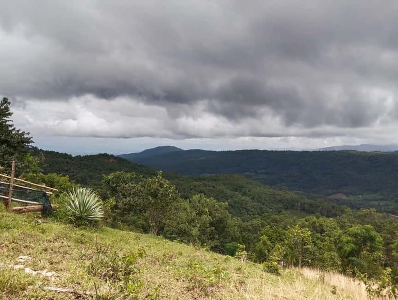 Chiang Mai Authentic Trekking - Phalai Mountain peak: the view reward and the wildlife odds