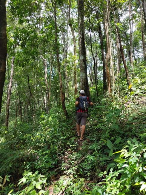 Chiang Mai Authentic Trekking - Through hill tribe farms: coffee, fruit, and everyday crop life