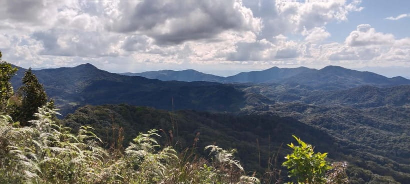Chiang Mai Authentic Trekking - Local market stop: the lunch start you will actually taste