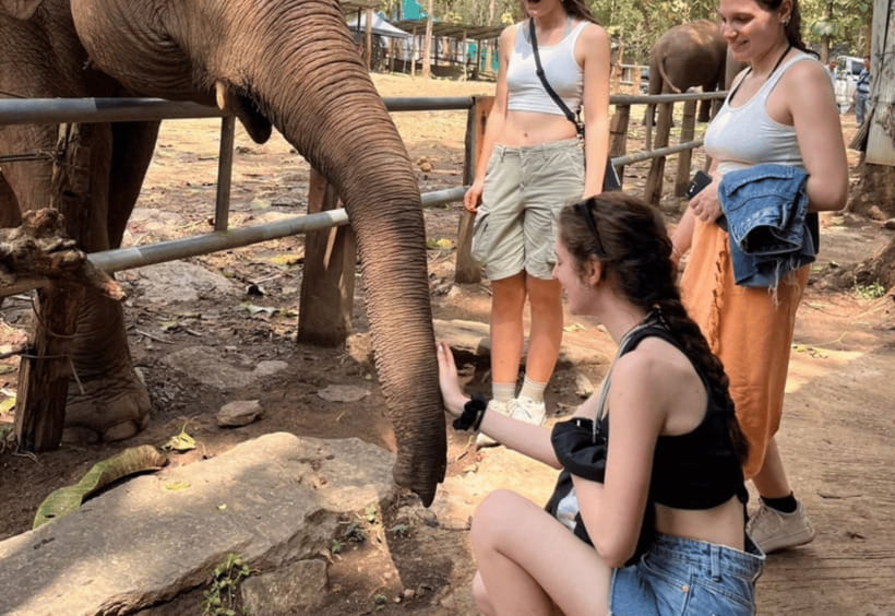 Chiang Mai: Bamboo Rafting with Hotel Transfers - When this tour is a great fit, and when to rethink it