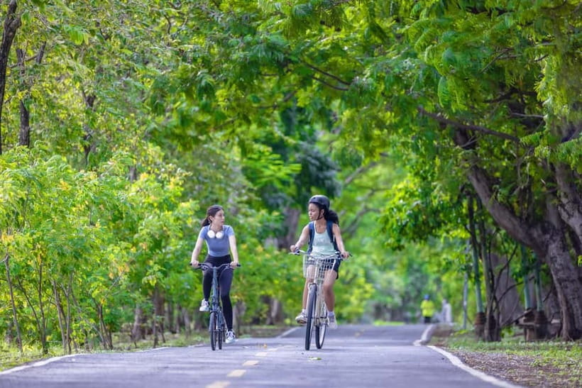 Chiang Mai Bicycle: Into The Lanna Countryside Guided Tour - Bikes, Comfort, and the E-Bike Upgrade for THB 350