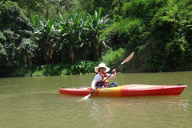 Chiang Mai Biking & River Kayak : Gentle Thrills in a Lush Valley - Key highlights to know before you go
