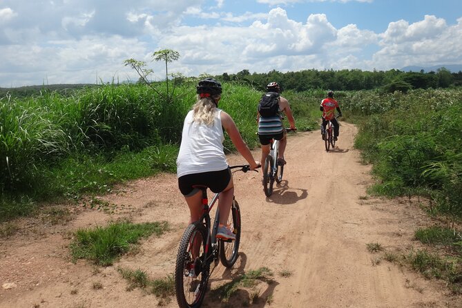 Chiang Mai Biking & River Kayak : Gentle Thrills in a Lush Valley - Kayaking on the Mae Ping River: steering your own boat