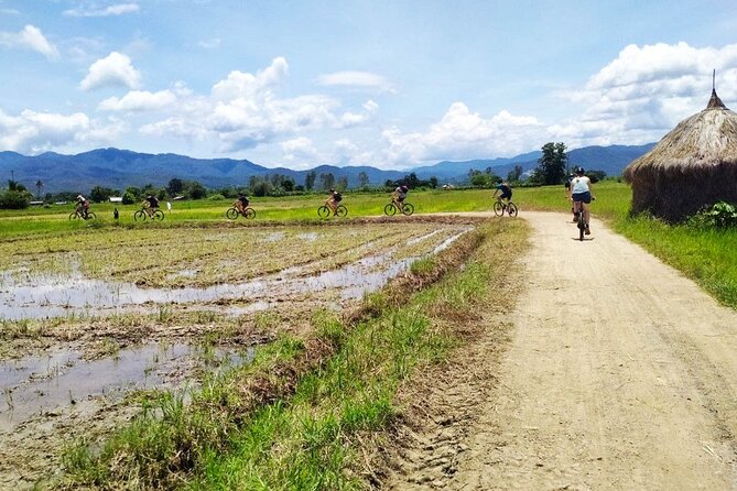 Chiang Mai Biking & River Kayak : Gentle Thrills in a Lush Valley - Lunch at Mango Plantation Restaurant, then back to Chiang Mai