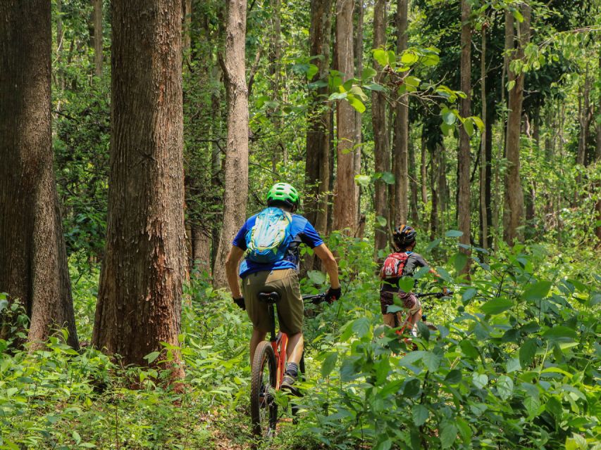Chiang Mai: Boat Ride and Cycling Tour to Sticky Waterfall - Key Highlights You Should Actually Care About