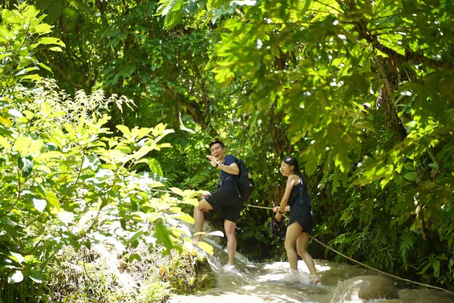Chiang Mai: Bua Thong Sticky Waterfall & Huge Cave & Buffet - Getting picked up in Chiang Mai: timing, van comfort, and the first handoff