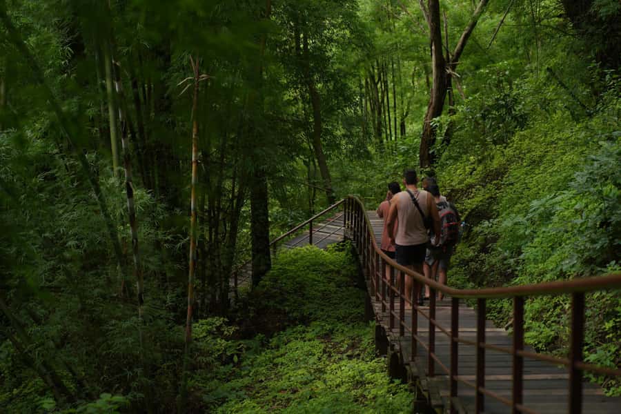 Chiang Mai: Bua Thong Sticky Waterfall & Huge Cave & Buffet - Lunch and timing: Thai buffet, fruit, and managing expectations