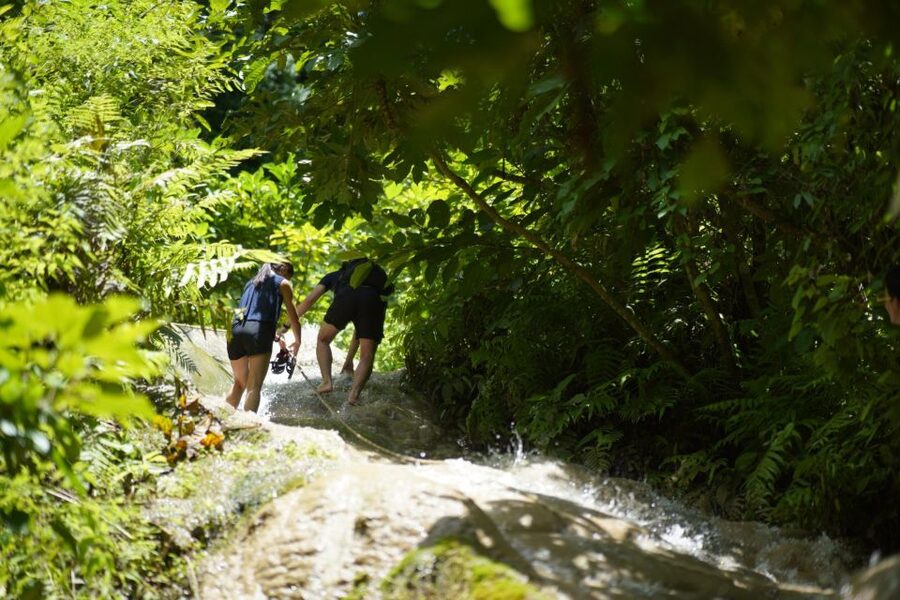 Chiang Mai: Bua Thong Sticky Waterfall & Huge Cave & Buffet - Guides who make or break the day: Kim, Tono, Jon, and the photo help