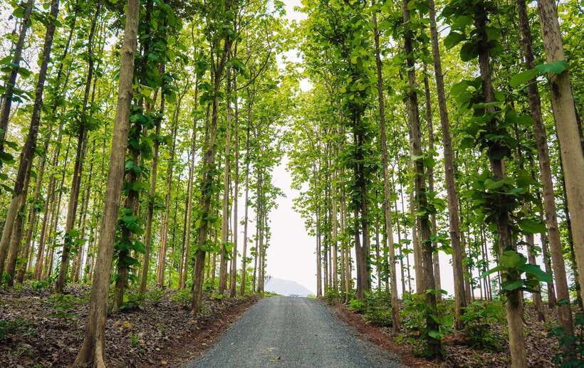 Chiang Mai: Chiang Dao 2 Days 1 Night Private Tour - TATA Chiang Dao Café to Dantewada Free Time