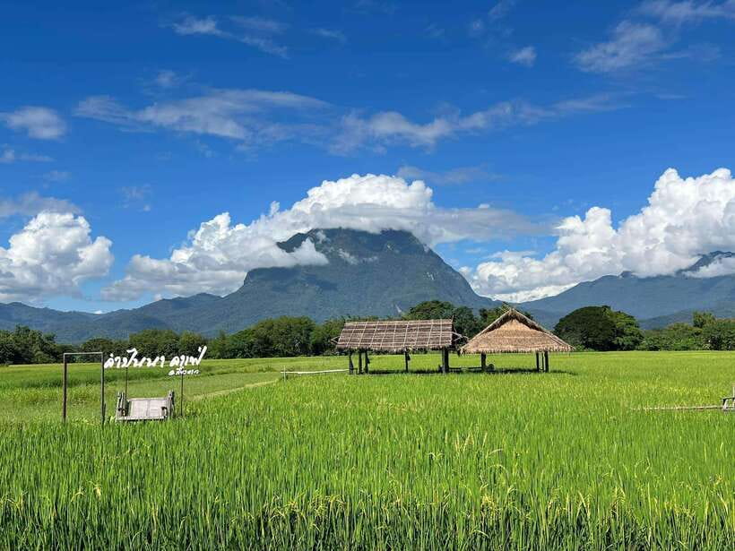 Chiang Mai: Chiang Dao 2 Days 1 Night Private Tour - Price and Logistics: Is $203 Per Person Good Value?