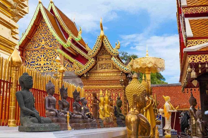 Chiang Mai City, Wat Doi Suthep, Wat Chedi Luang and Wat Pha Lat - Price and Logistics: What $65 Covers, and the One Concern