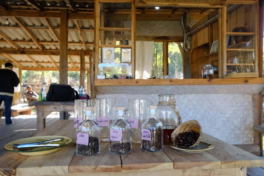 Chiang Mai Coffee Full Day Tour: Trek, Brew & Roast Journey. - Should You Book This Chiang Mai Coffee Full Day Tour?
