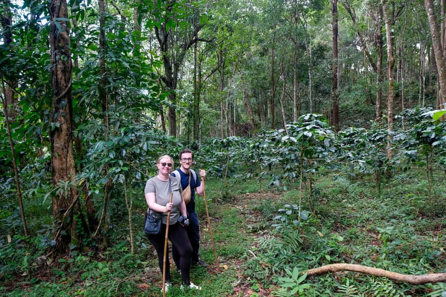 Chiang Mai Coffee Full Day Tour: Trek, Brew & Roast Journey. - Coffee Up a Mountain: The Small-Group Start in Chiang Mai