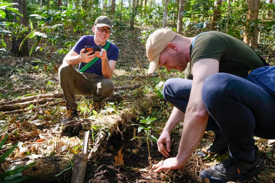 Chiang Mai Coffee Full Day Tour: Trek, Brew & Roast Journey. - Roast Your Own Thai Arabica and Take the Smell Home