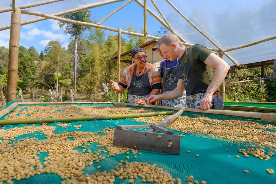 Chiang Mai Coffee Full Day Tour: Trek, Brew & Roast Journey. - Who This Tour Fits Best, and Who Should Skip the Trek