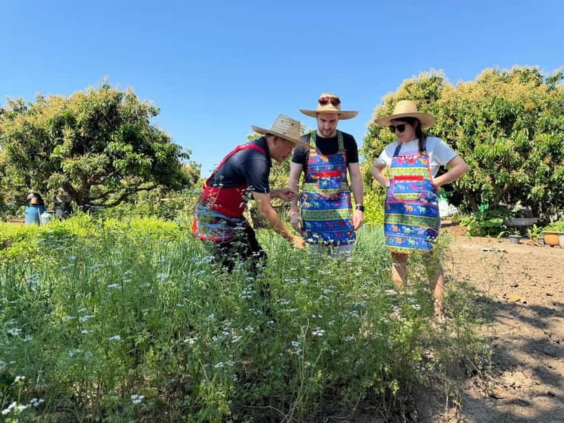 Chiang Mai : Cook in Farm, Market tour & Go by a Local Train - From hotel pickup to countryside views, the train ride is the hook
