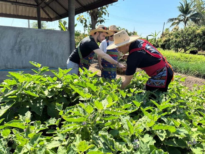 Chiang Mai : Cook in Farm, Market tour & Go by a Local Train - The village arrival, menu planning before you pick herbs