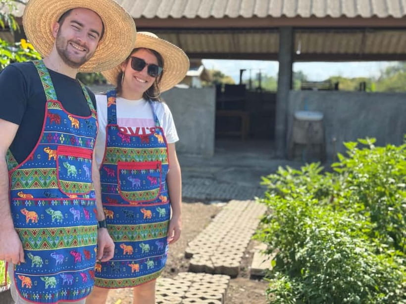 Chiang Mai : Cook in Farm, Market tour & Go by a Local Train - Cooking with an English instructor, from basics to balance