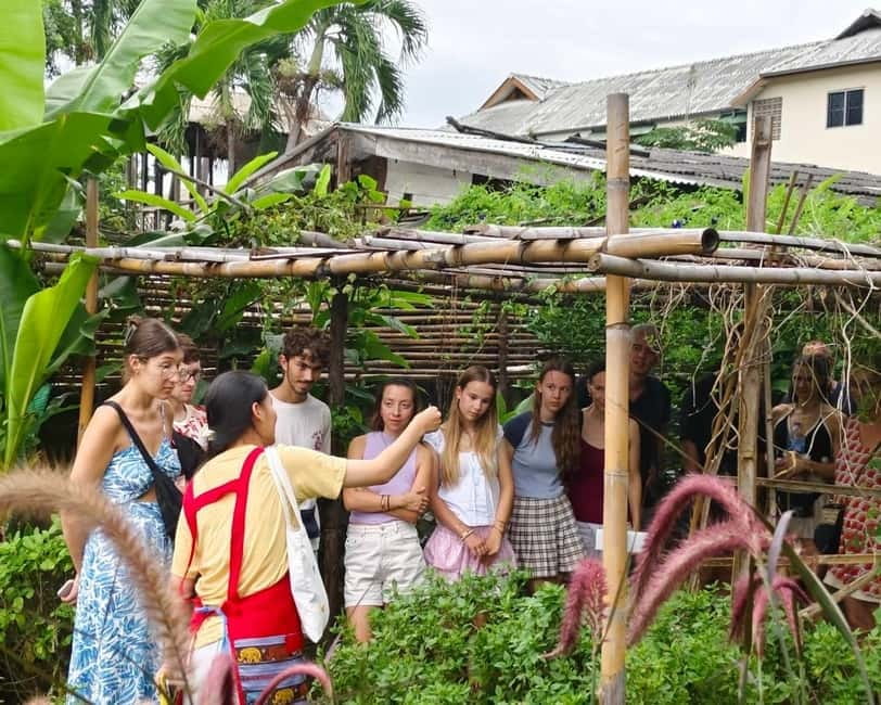 Chiang Mai: Cooking Class, Market & Thai Herbs Garden Tour - A half-day Chiang Mai cooking class built around real ingredients