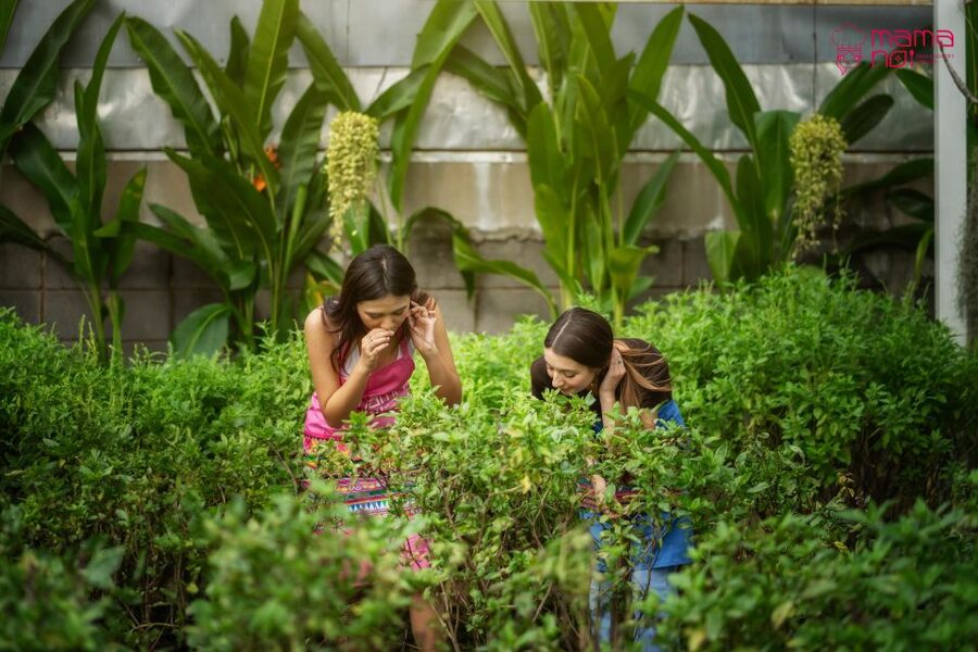 Chiang Mai: Cooking Class with Organic Farm at Mama Noi - Who should book Mama Noi, and who should consider alternatives