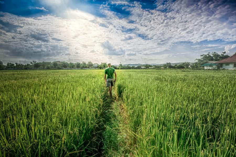 Chiang Mai: Countryside Adventure by Bike - Forest shrine and Doi Suthep-Pui National Park walking time