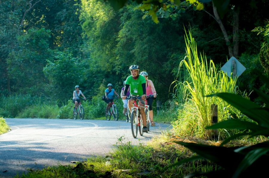 Chiang Mai Countryside E-bike Ride with Expert Guide & Lunch - Umong Forest Temple Tunnels Inside Doi Suthep-Pui Park