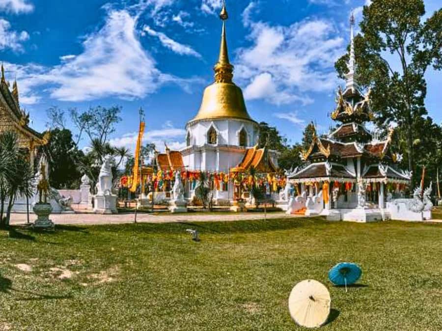 Chiang Mai: Culture of Temples and Sticky Waterfall - Bua Tong Waterfall: Walking Time, Cooling Time, and Nature All Around